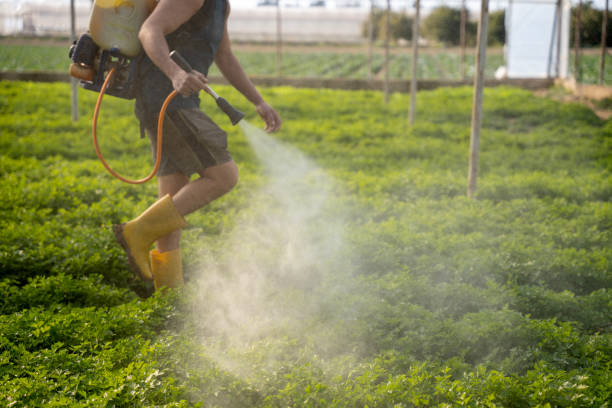 Best Pest Inspection Near Me  in Silver Springs Shores, FL