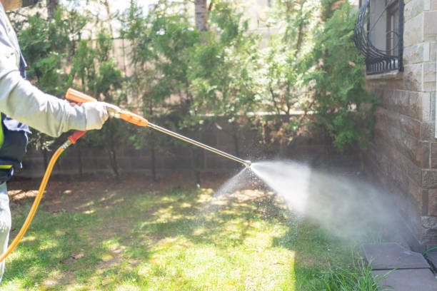 Best Affordable Pest Control Services  in Silver Springs Shores, FL