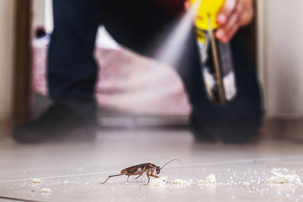 Best Local Pest Control Services  in Silver Springs Shores, FL